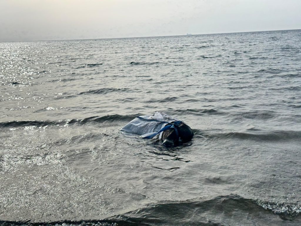 Denizden balık yerine angus çıktı