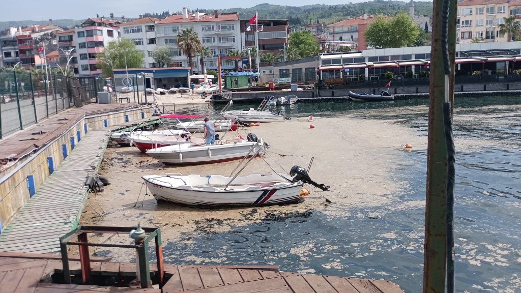 Karamürsel Sahili Müsilajla Kaplandı, Tekne Motorları Arızalanıyor
