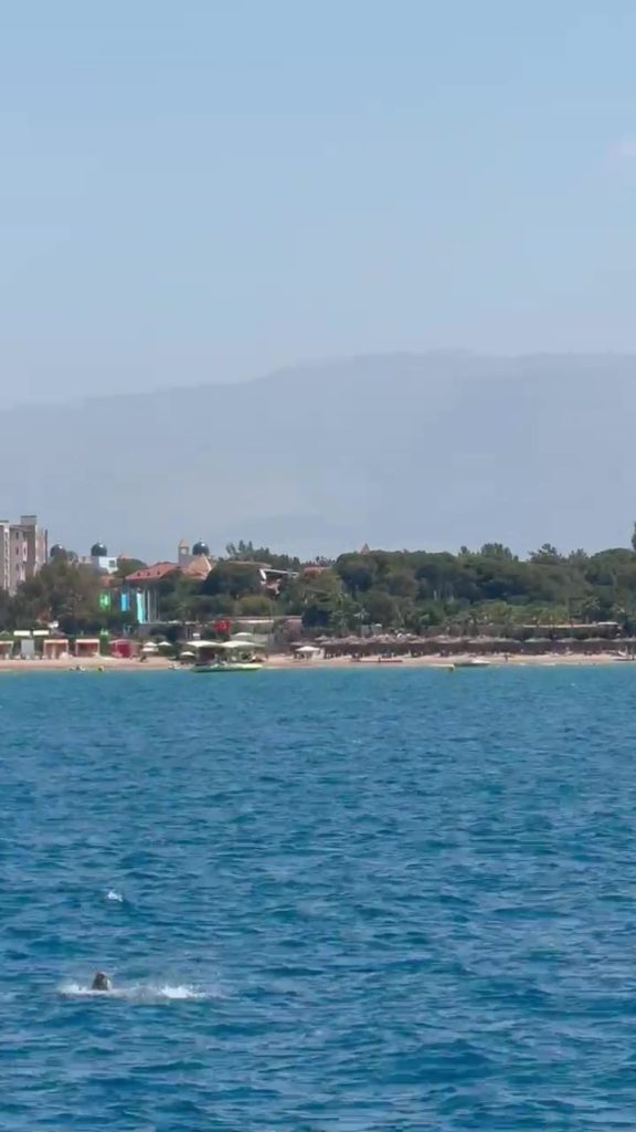 Side Açıklarında Akdeniz Foku Görüntülendi: Turistler Hayranlıkla İzledi