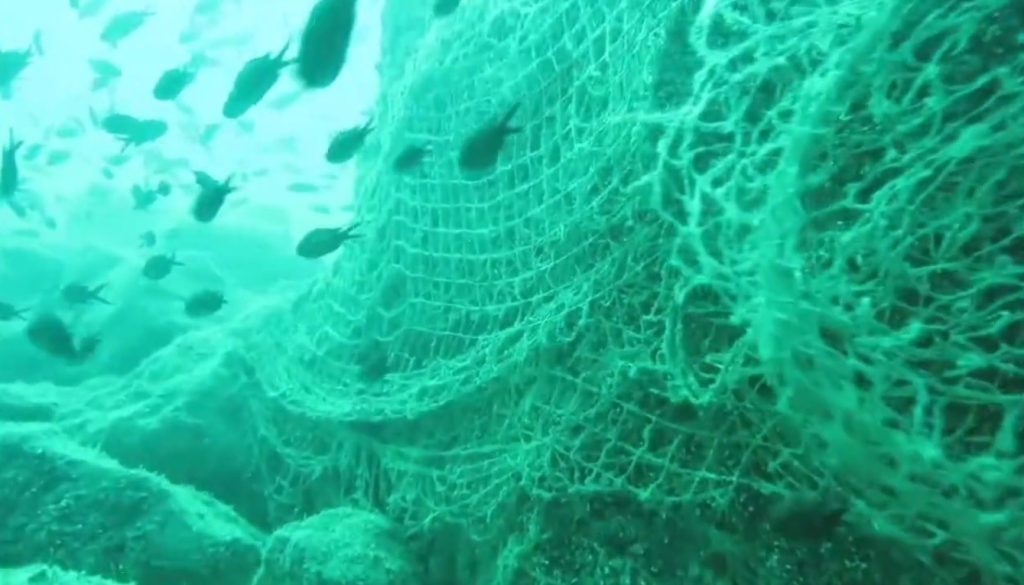 Karadeniz’in Derinleri Hayalet Ağlarla Dolu: Avrupa’nın En Kirli Denizi Alarm Veriyor