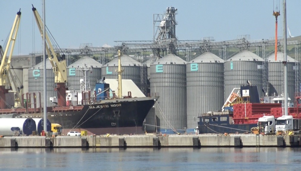 Bandırma Halkı Çelebi Limanı’na İsyan Etti: “Bu Deniz Değil, Çamur!”