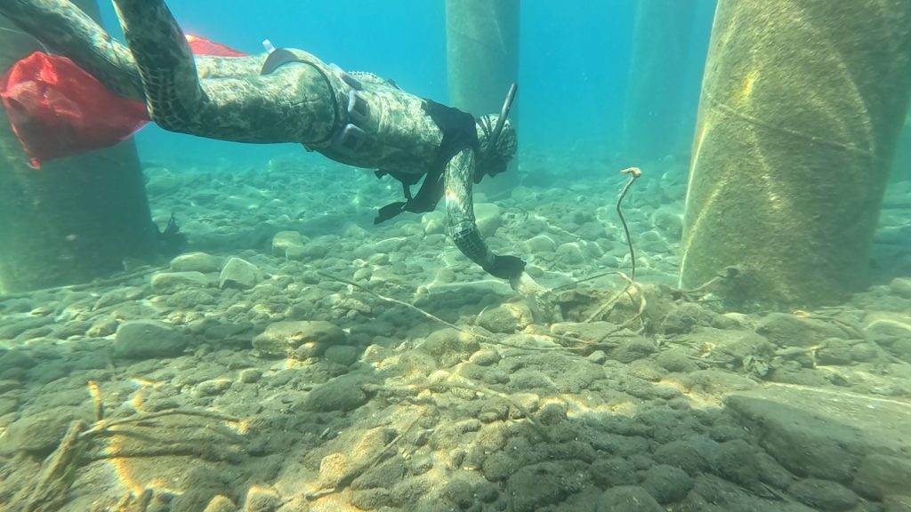 Deniz Dibi Temizliği Kampanyası Hız Kesmeden Devam Ediyor