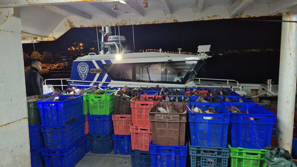 Samsun Açıklarında Kaçak 6 Ton Kalkan Balığı Ele Geçirildi: Tekne Sahibine 246 Bin TL Ceza