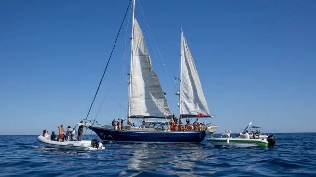 Greta Thunberg: “İki Milyon İnsan Aç Bırakılıyor, Dünya Sessiz Kalamaz”