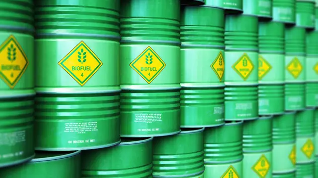 BIMCO’dan Denizcilikte Biyoyakıt Kullanımı İçin Yeni Alt Komite