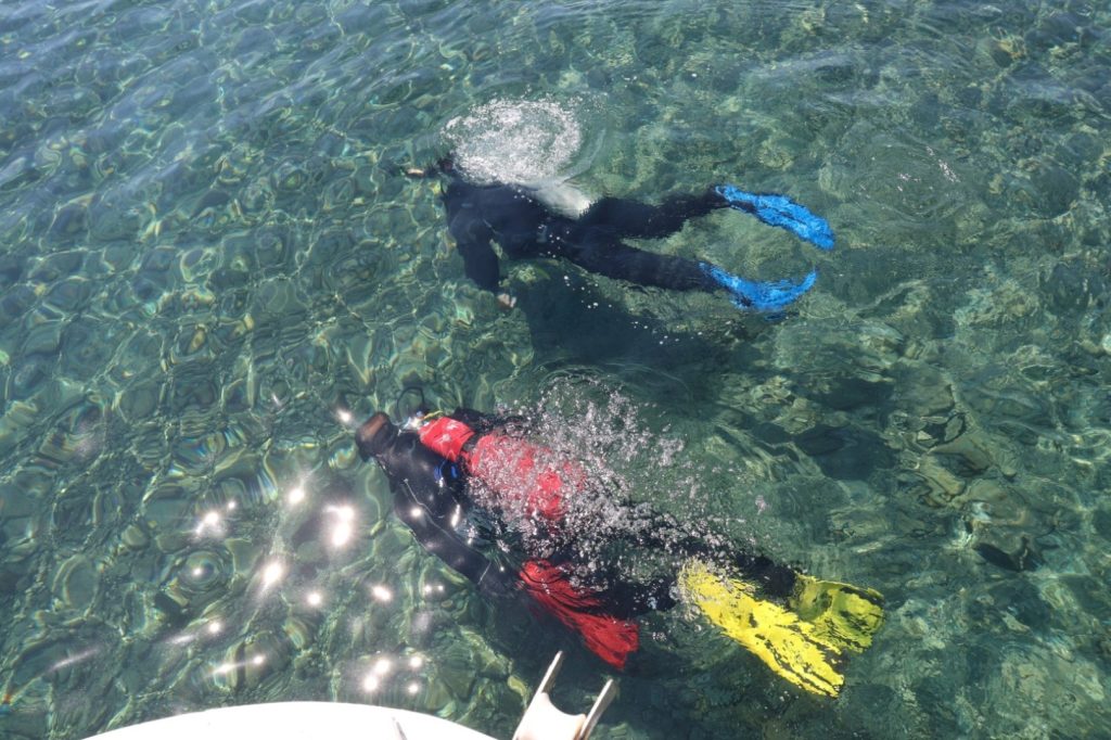 Bodrum’da “Denize En Çok MAVİ Yakışır” Deniz Dibi Temizliği: Gündoğan’da 168 kg Atık Toplandı