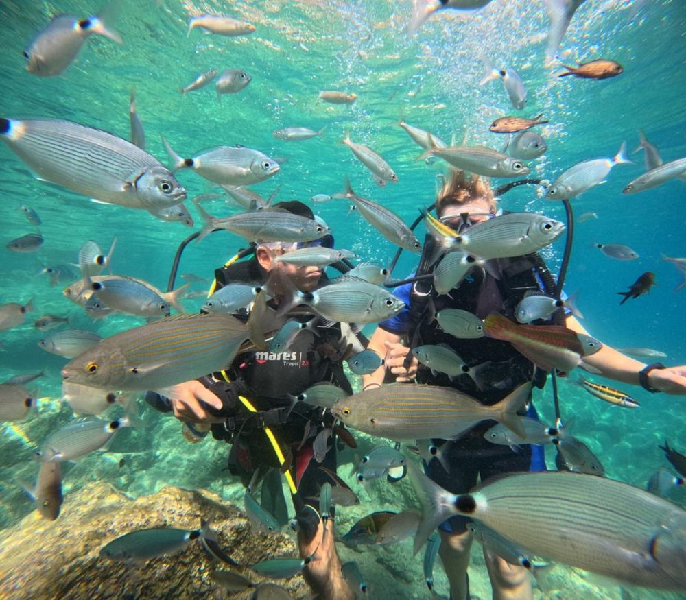 Marmaris’te Dalış Turizmine Yerli Turist Dopingi