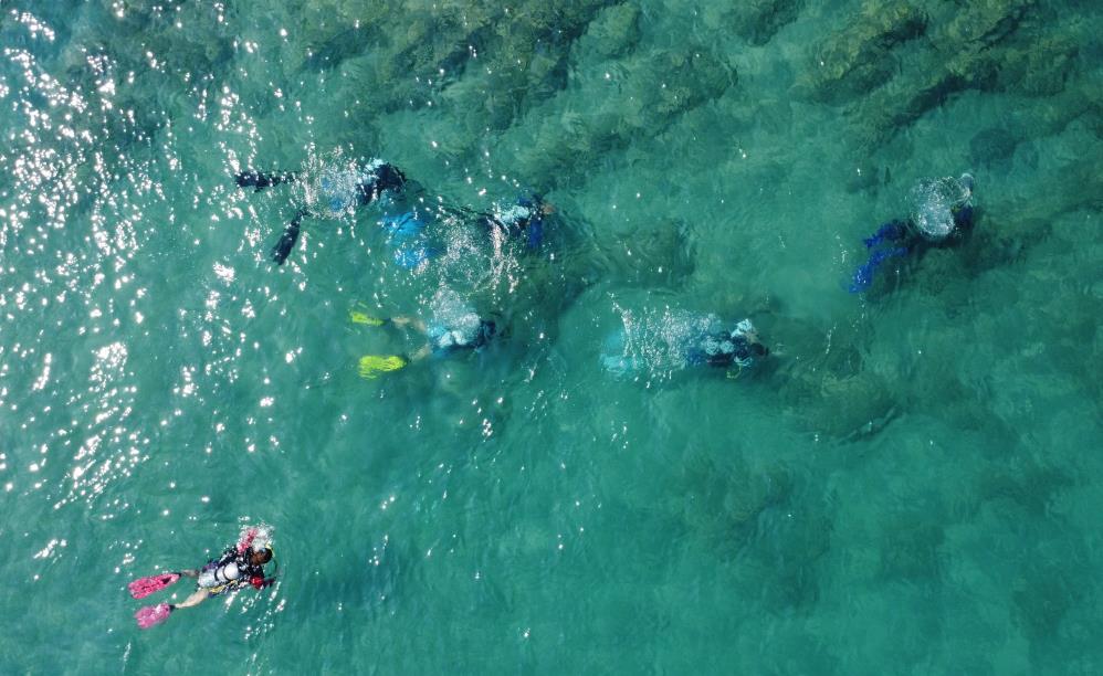 Akdeniz’in Derinliklerinde Yaşam İzleri