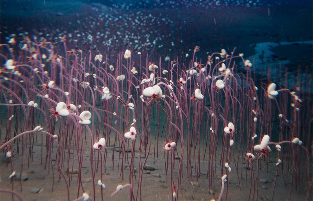 Bilim İnsanlarının Derinlerde Bulduğu Canlı Vaha