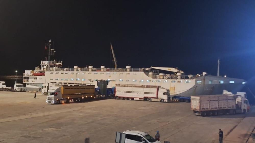 Bandırma’da “Yüzen Ahır” Alarmı: Çelebi Limanı Halkı Nefes Alamıyor