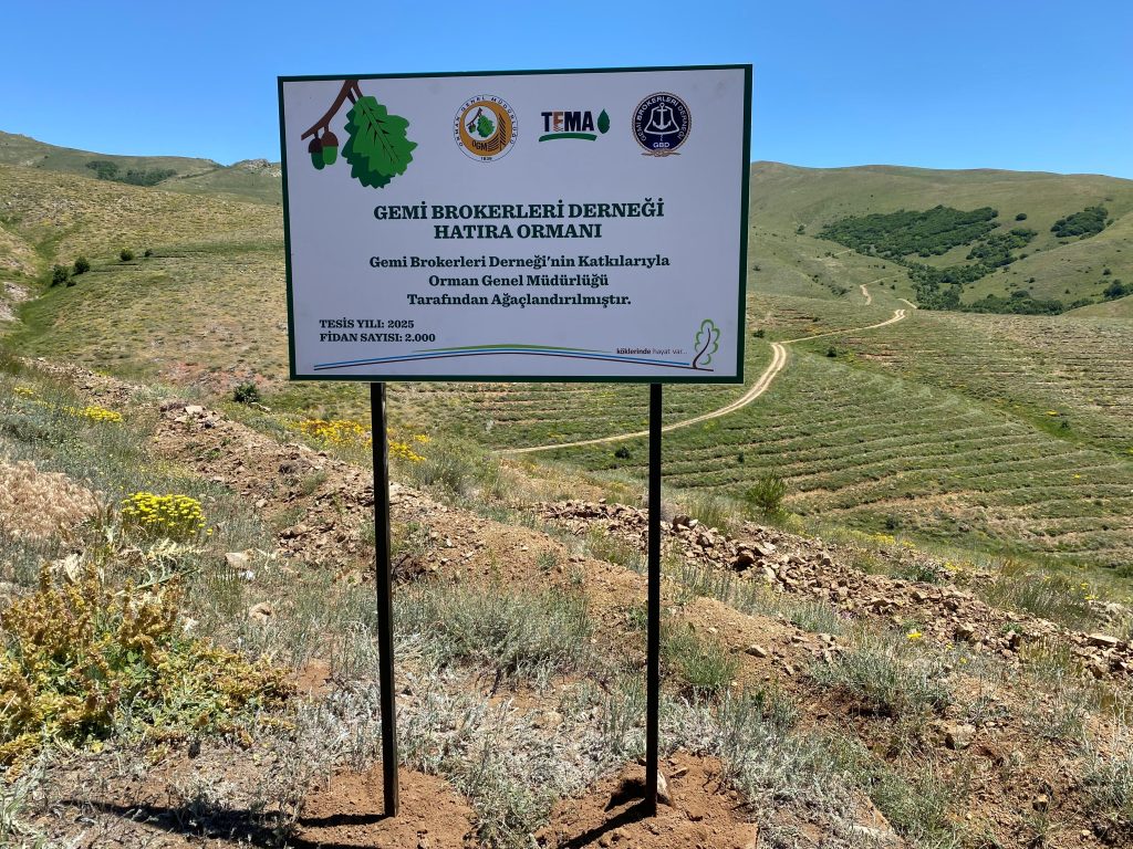 Gemi Brokerleri Derneği, 15. kuruluş yılı kapsamında TEMA Vakfı iş birliğiyle Erzincan’da 2 bin fidan dikerek Hatıra Ormanı oluşturdu.