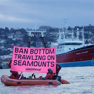Greenpeace Aktivistleri Yeni Zelanda’da Dip Sürükleme Gemisini Engelledi
