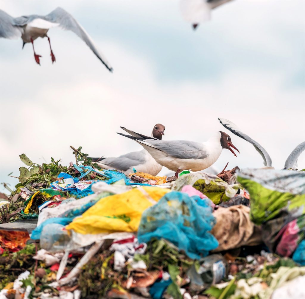 WWF: Plastik Kirliliğine Karşı Bağlayıcı Küresel Anlaşma Şart