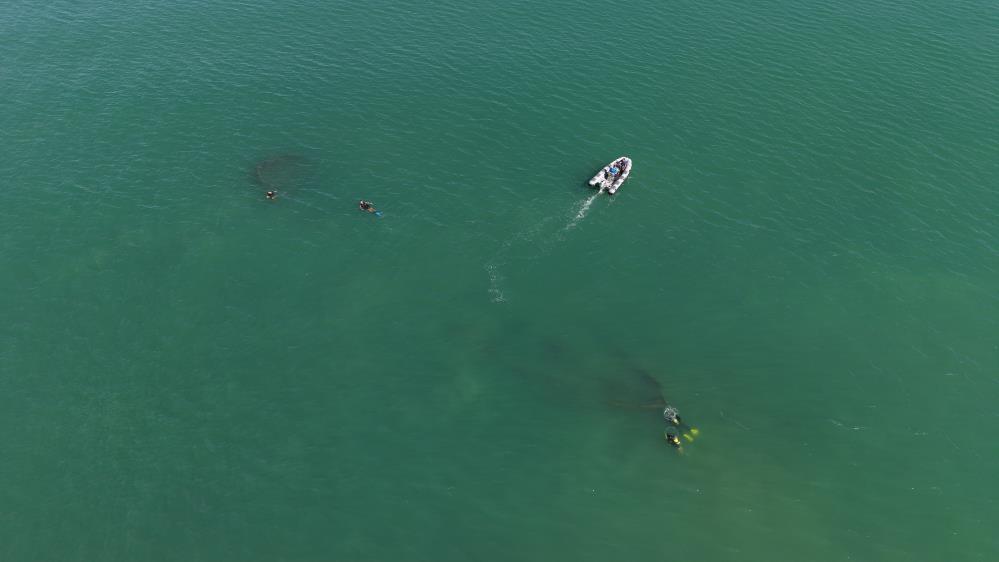 Ordu’da 92 Yıl Sonra Ortaya Çıkan Rus Şilebi İlk Kez Dalgıçlar Tarafından Keşfedildi