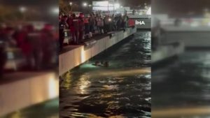 Kadıköy-Beşiktaş İskelesi’nde denize düşen kişi kurtarıldı