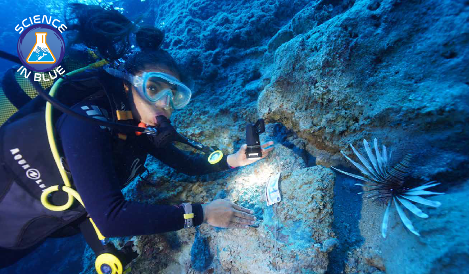 Doğu Anadolu’da Gençler Deniz Bilimiyle Buluşuyor