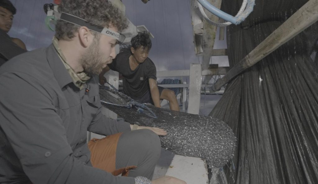 Endonezya’da Balıkçı Ağlarına Takılan Balina Köpekbalığı Türk Veteriner Tarafından Kurtarıldı