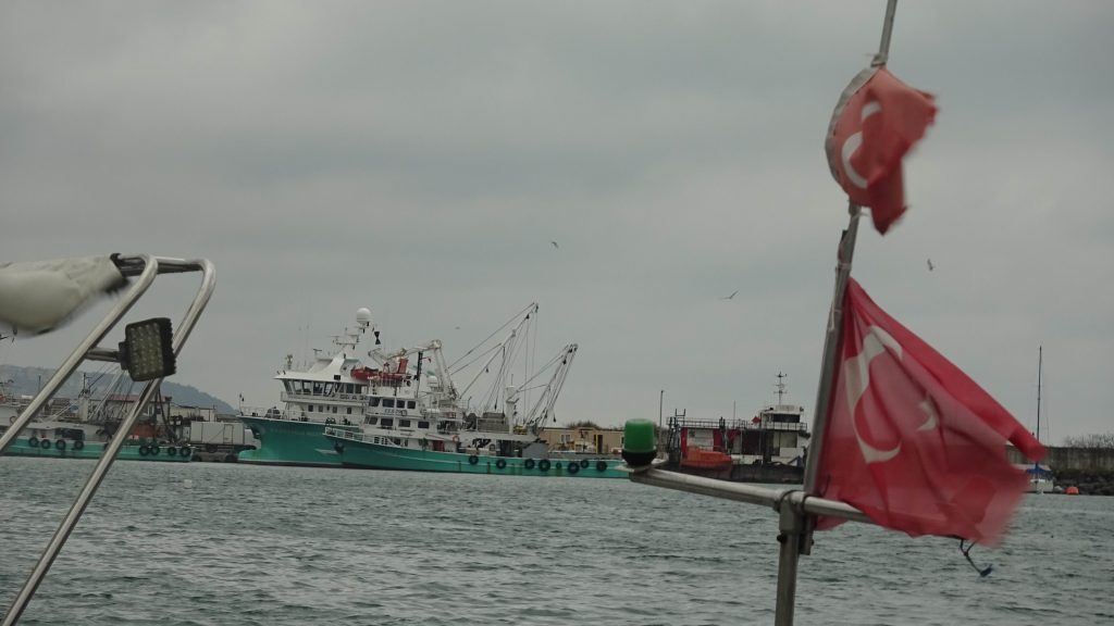 Hamsi Gürcistan’a Kaçtı, Karadeniz Beklemede