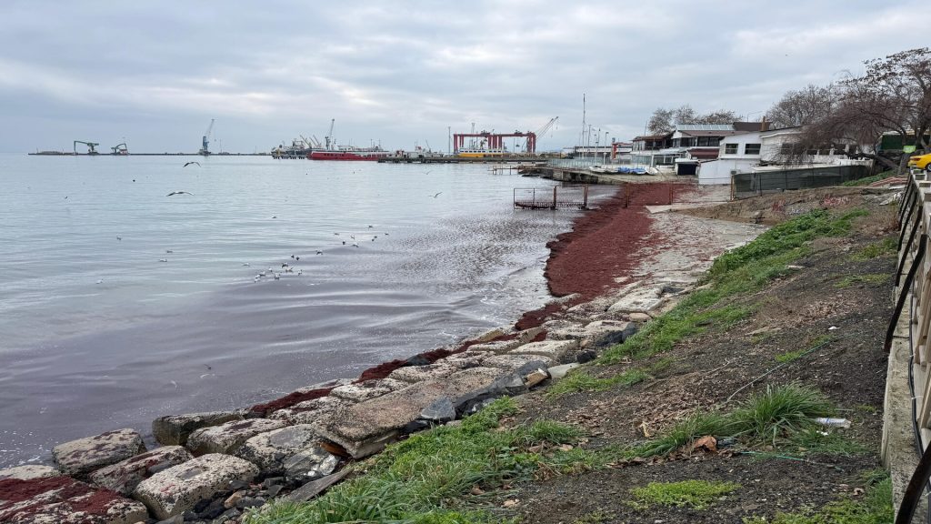 Poyraz Sonrası Tekirdağ Sahili Kızıla Büründü