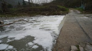 Kocagöl Deresi’nde Endişe Veren Manzara: Cezayı Ödeyen Zehri Basıyor!