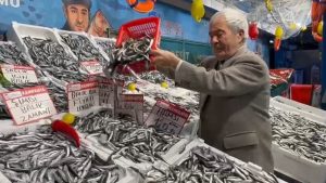 İstanbul’da Hamsi Bolluğu, Fiyatlar Dibi Gördü