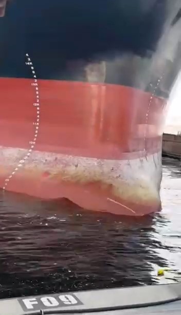 DP World Evyap Limanı