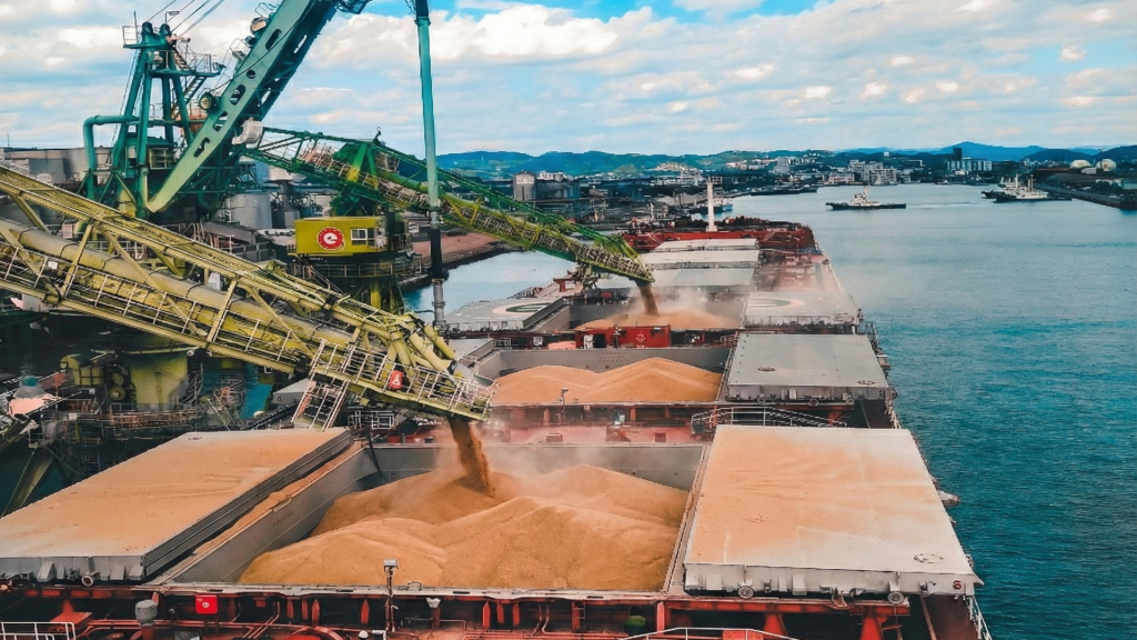 Tarım Ticaretinde 716 Milyon Tonluk Rekor: Navlun Fiyatları Yüzde 69 Arttı