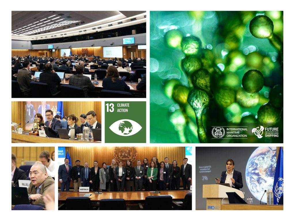 IMO biyoyakıt semineri Londra’da düzenlendi