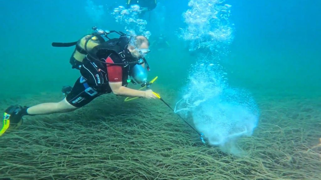 Mavi Nefes Seferberliği Büyüyor, Hedef 20 Bin Deniz Çayırı