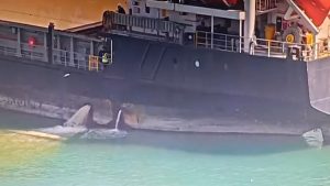 Mersin Limanı’nda Denizi Kirleten Gemiye 13 Milyon Lira Ceza