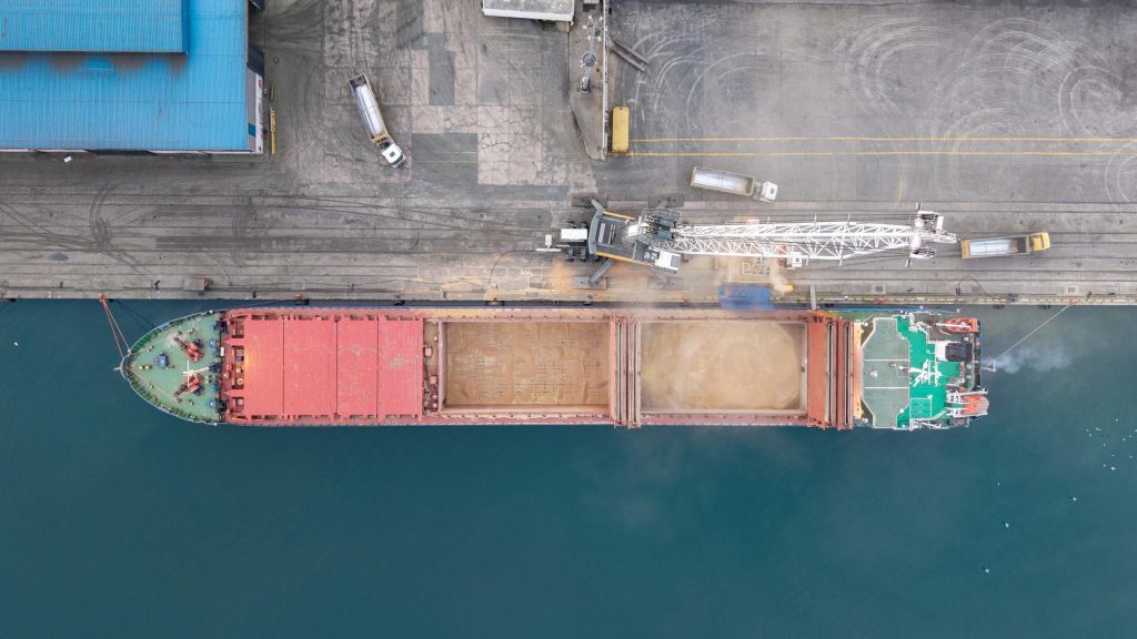 Türkiye’de tutuklanan denizciler davası haberinde kullanılan bulk carrier yük gemisi