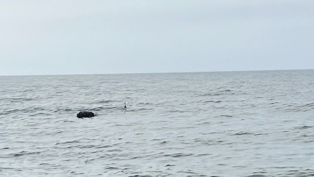 Karadeniz’deki Sürüklenen Mayın Kontrollü Şekilde Patlatıldı