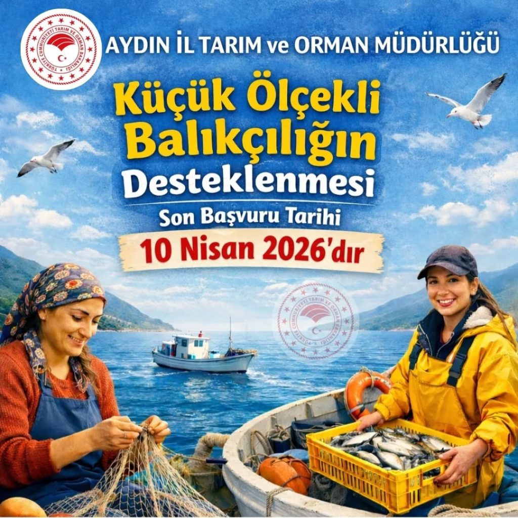 balıkçı gemisi