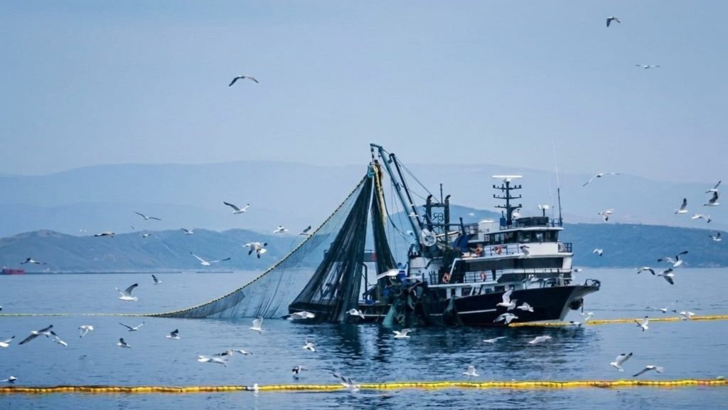 Denizlerde Genel Av Yasağı 15 Nisan’da Başlıyor