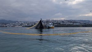 Balıkçılıkta Av Yasağı, Uzatma Ağları Hariç Tüm Avcılık Yasak