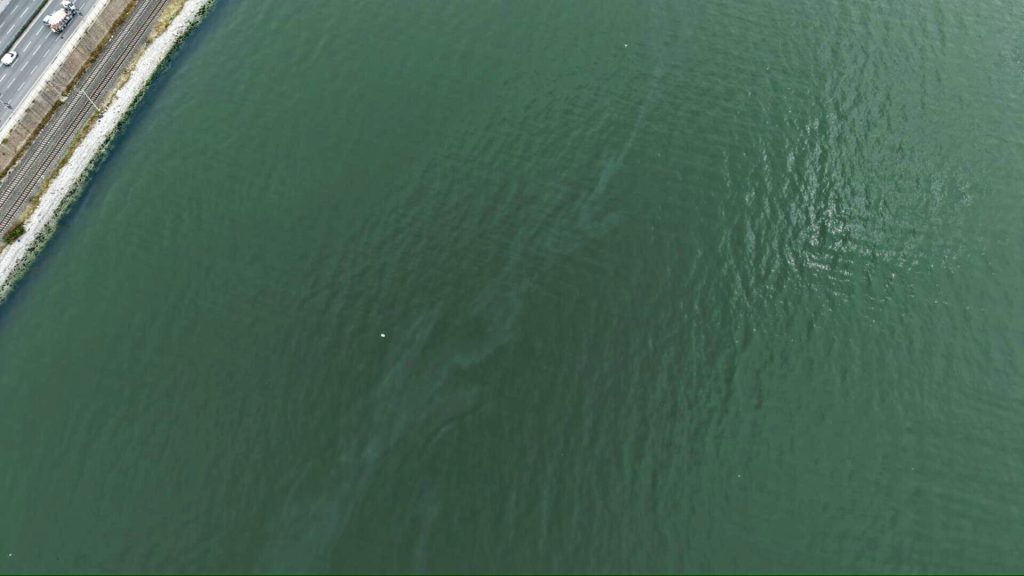 İzmir Körfezi’nde Deniz Kirliliği Alarmı: 6 Ayda 11. Vaka